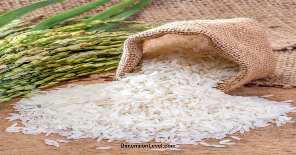 A Rice Grain