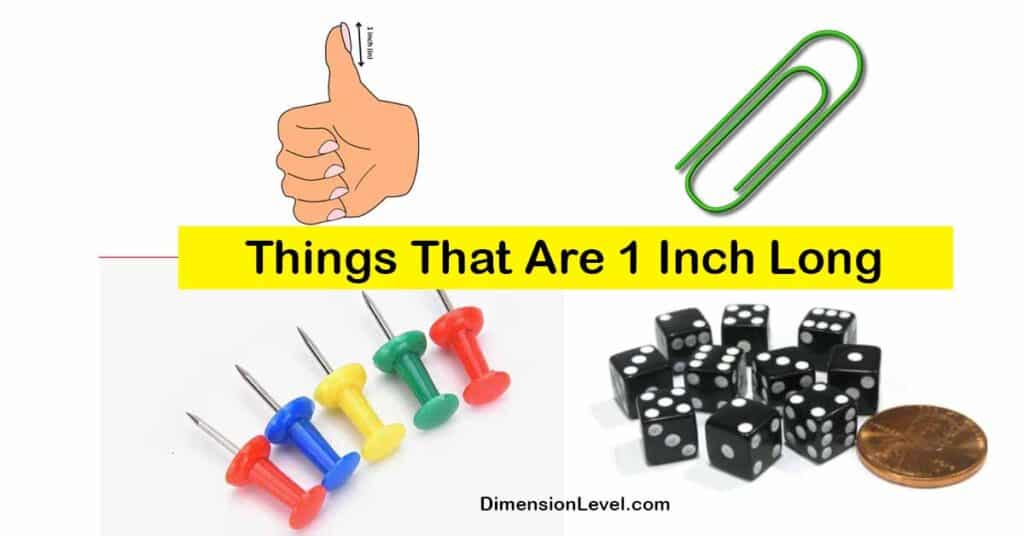 11 Common Things That Are 1 Inch Long