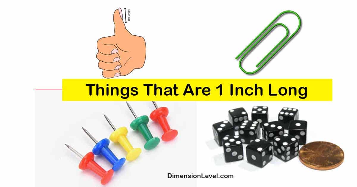 11 Common Things That Are 1 Inch Long