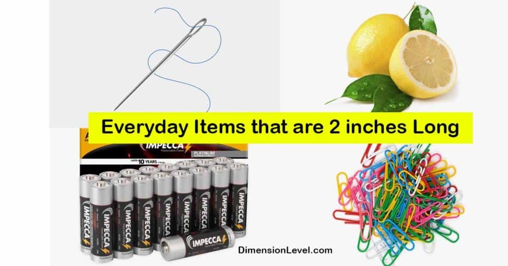 11 Everyday Items that are 2 inches LongBig