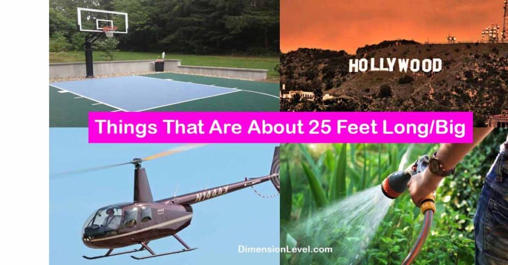 11 Things That Are About 25 Feet Long