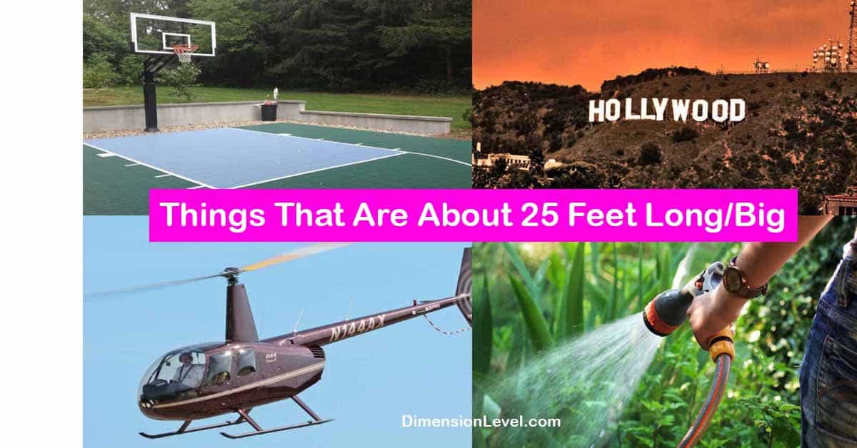 11 Things That Are About 25 Feet Long