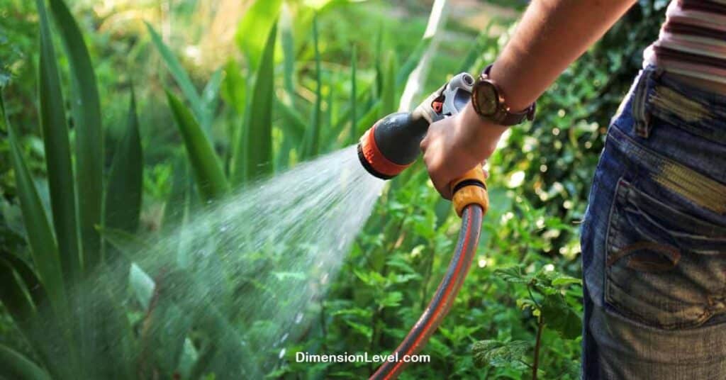 Garden Hose