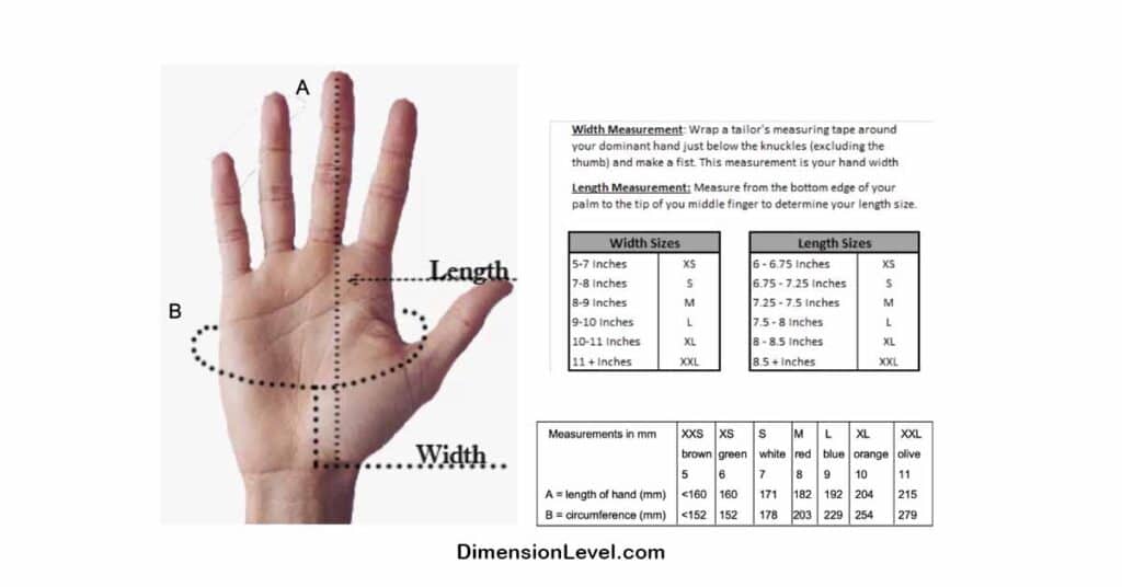 Hand Width