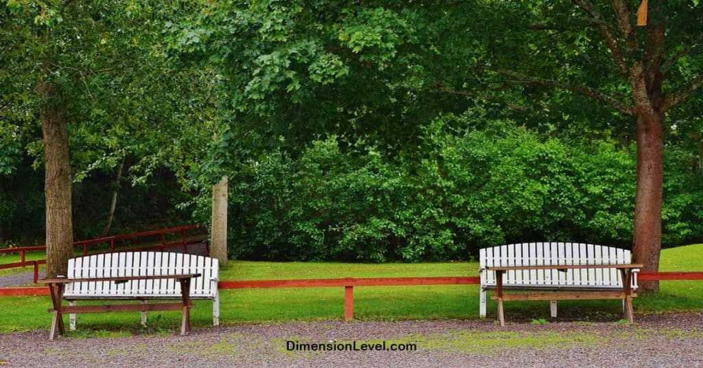 Two Park Benches