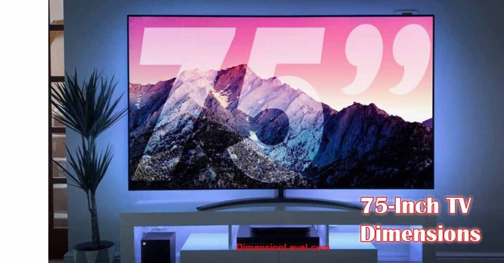 75 Inch TV Dimensions